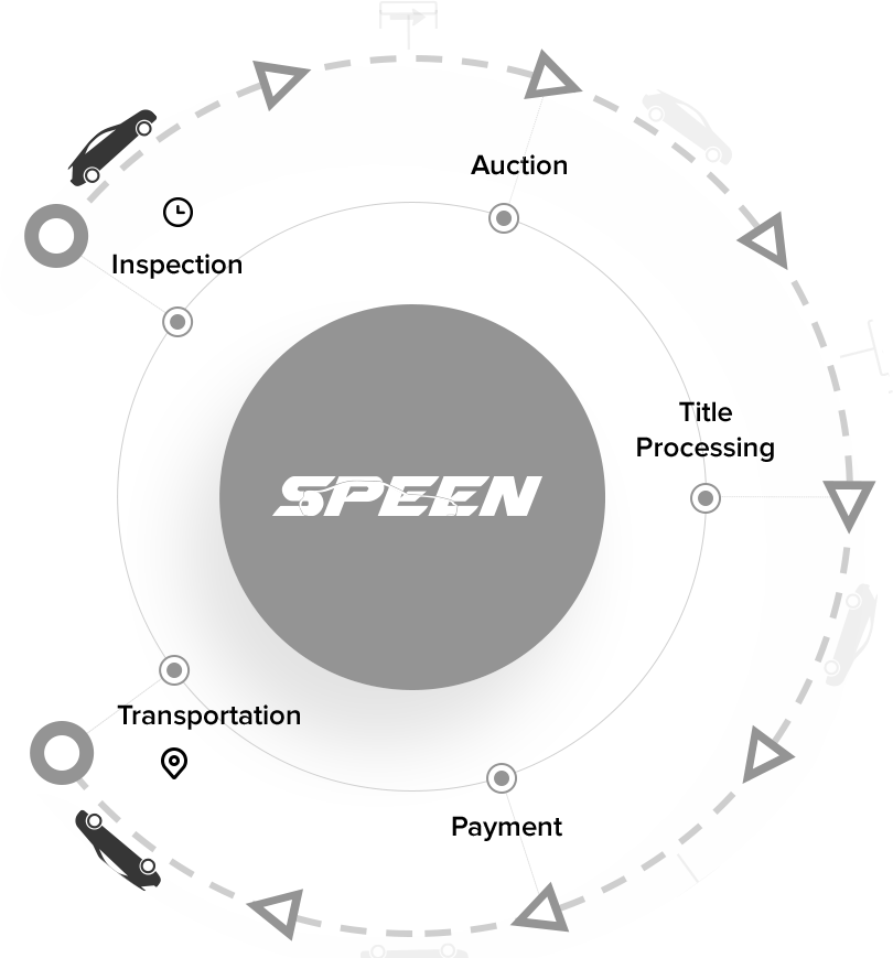 SPEEN project visual from the original SDH portfolio